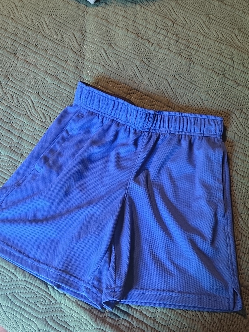 DSG Royal Blue Athletic Shorts